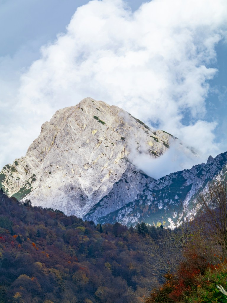 雪山云雾缭绕山林秋色照片