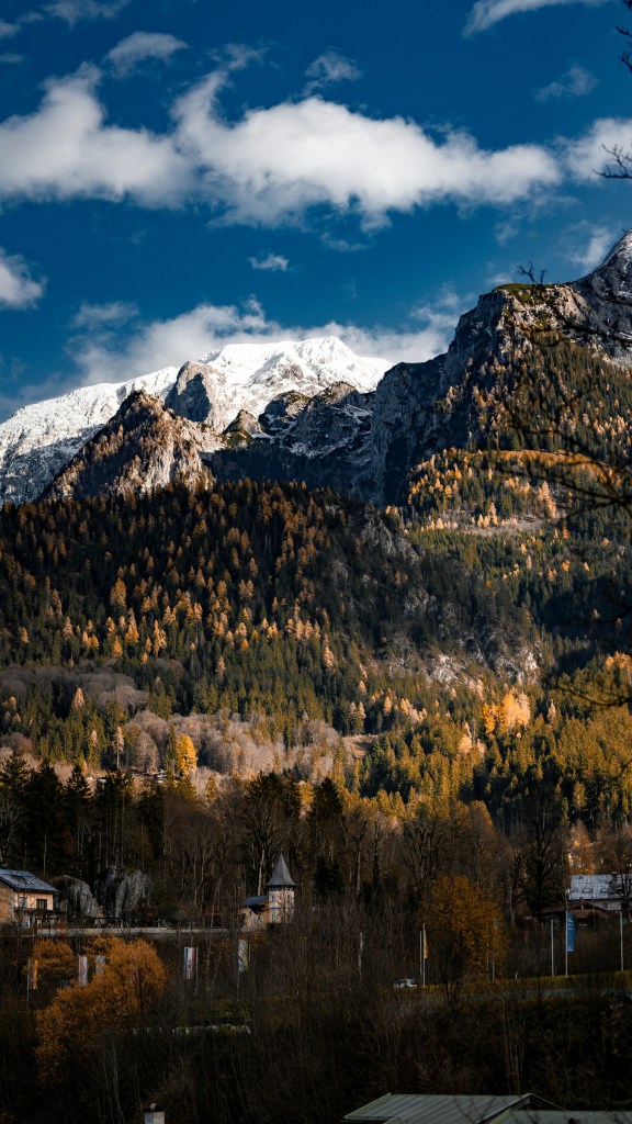 雪山森林村落秋景照片
