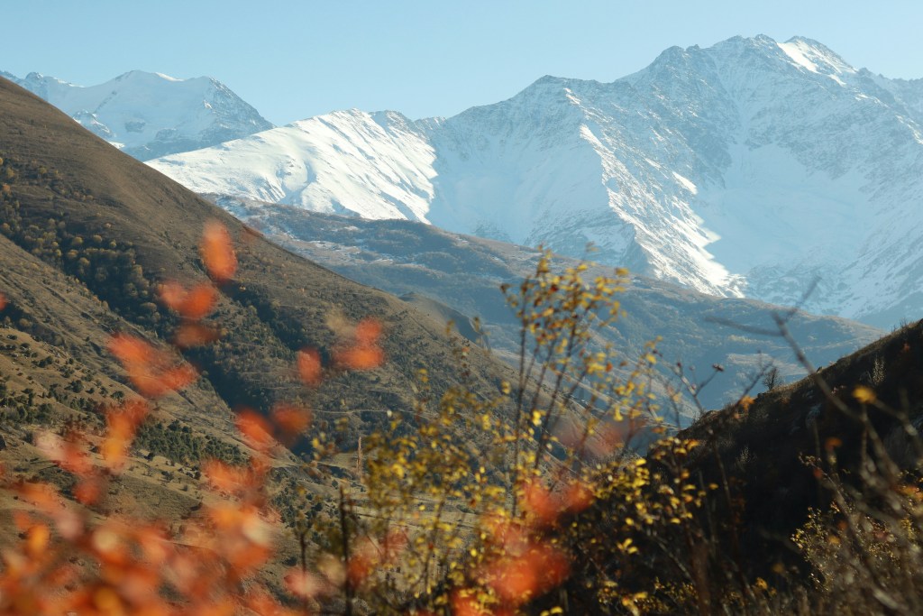 雪山秋景层林尽染照片