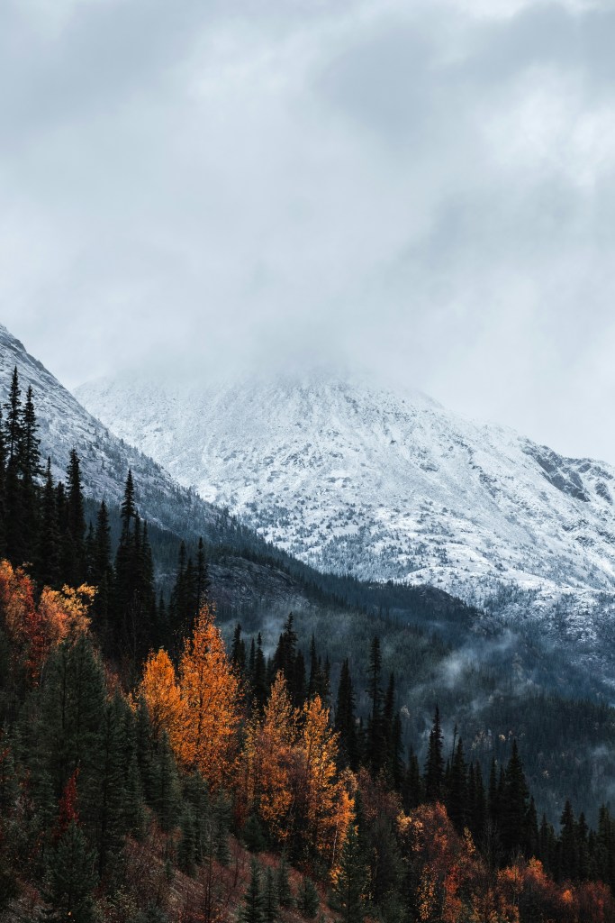 雪山秋林云雾缭绕