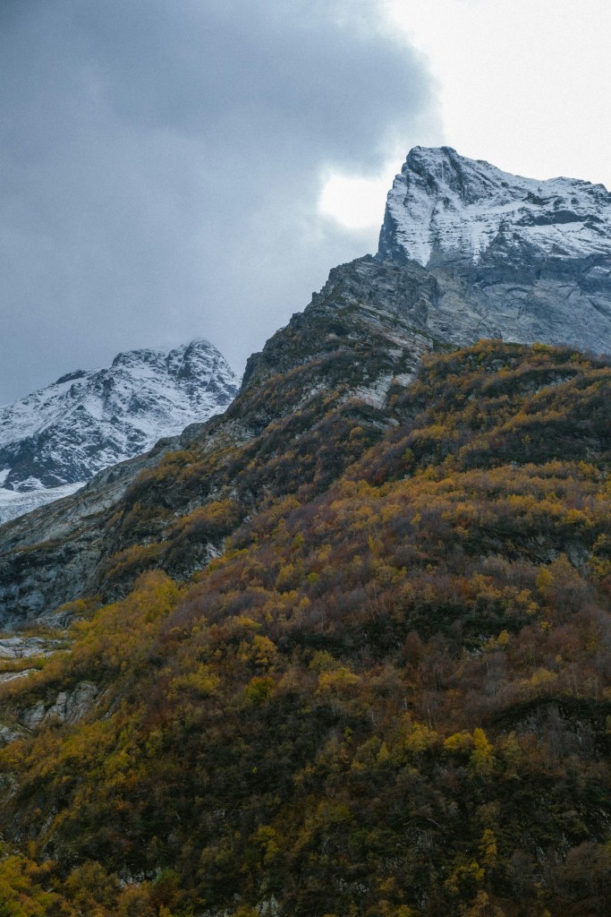 雪山秋林云雾缭绕自然风光照片