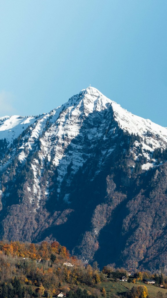 雪山秋林景色照片