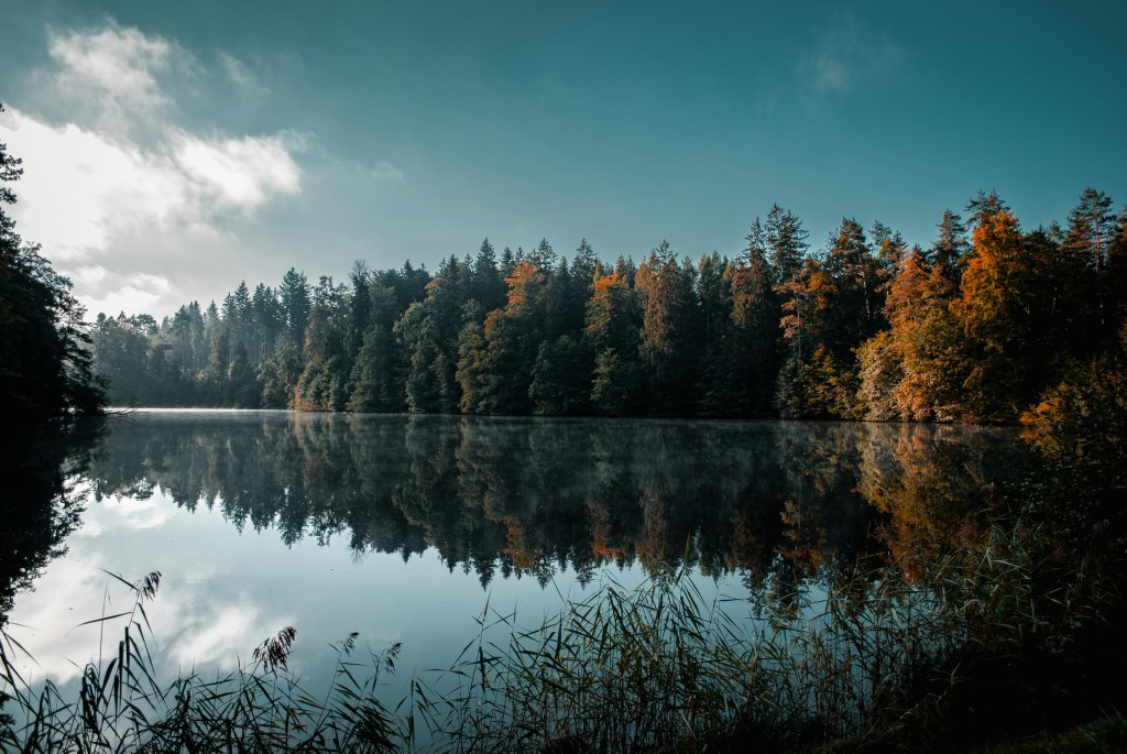 秋日湖畔森林倒影静谧美景