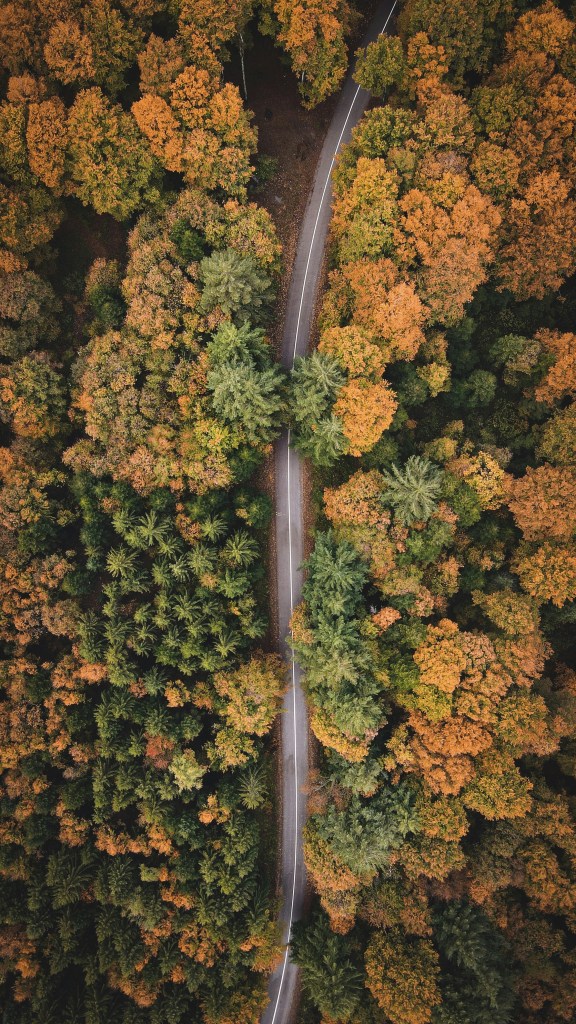 俯瞰秋林公路景色