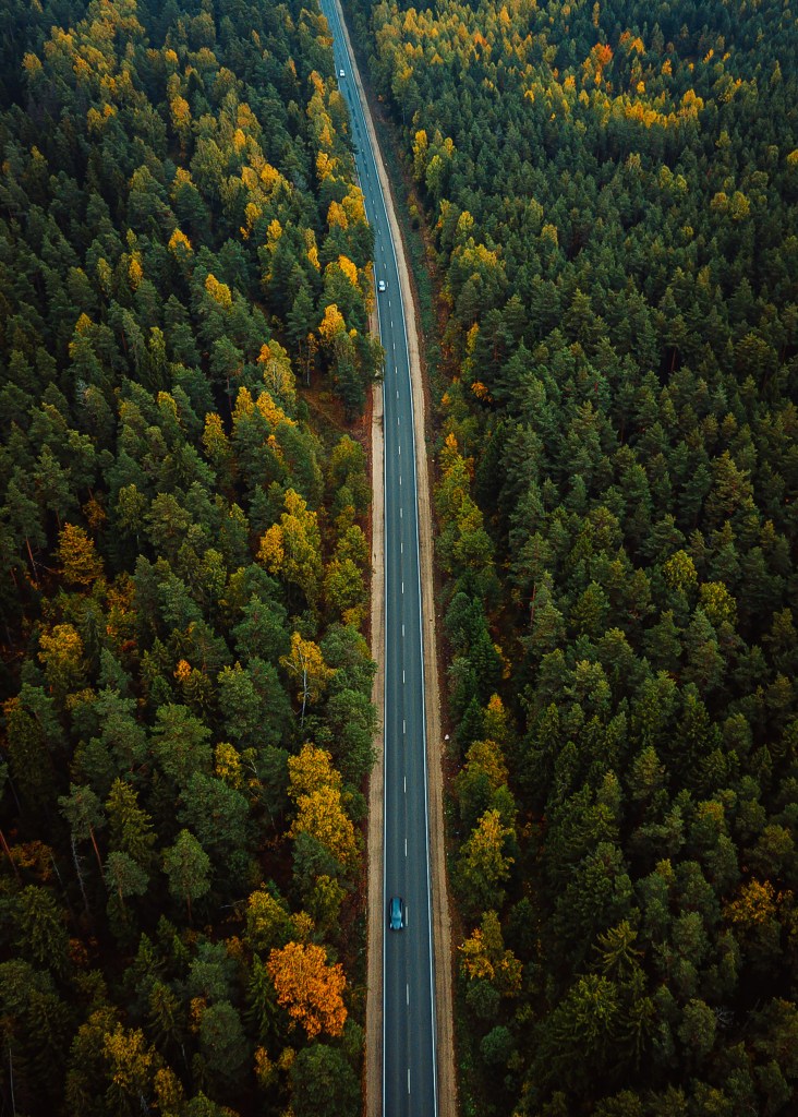 俯瞰秋林公路车辆穿行