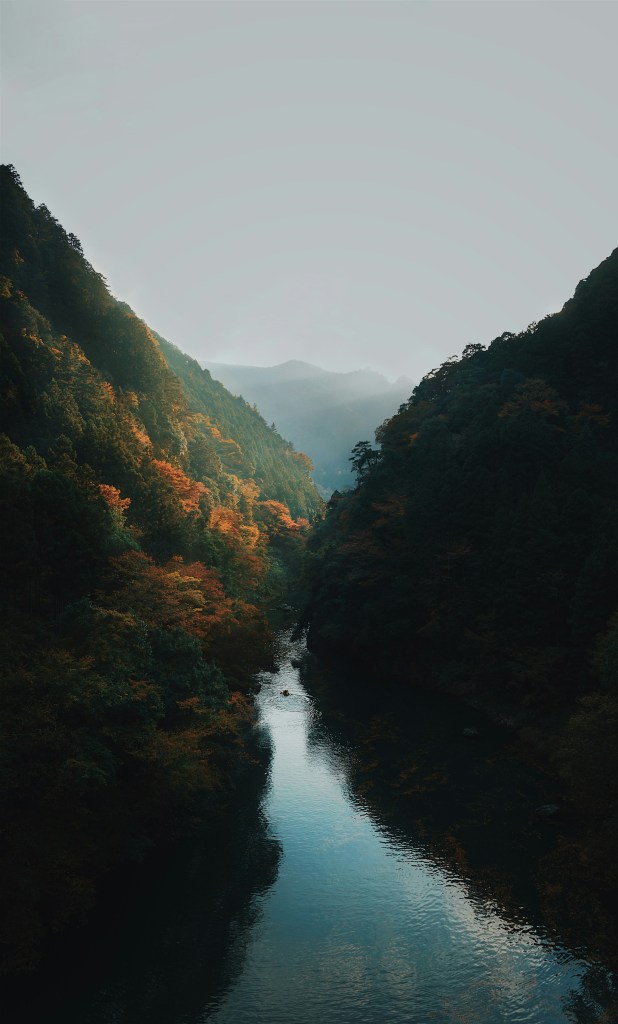 山谷溪流秋色美景照片