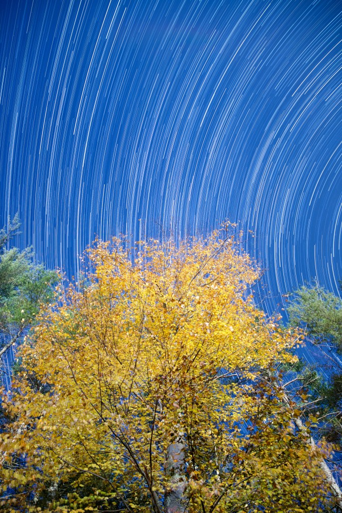 夜空星轨映衬秋叶树