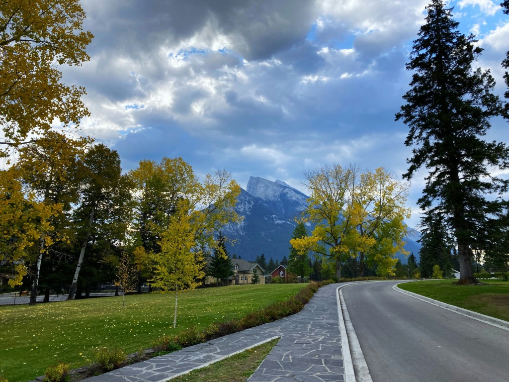 秋日山景公路两旁金黄树叶照片
