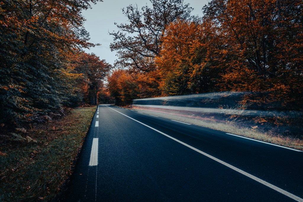 秋日林间公路光影流动照片
