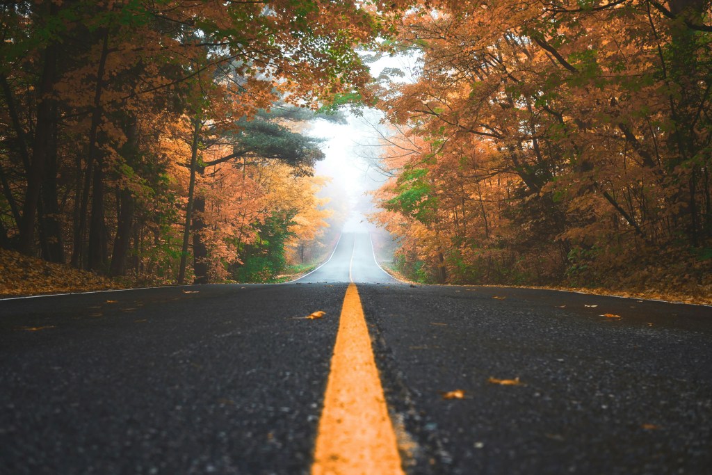 秋日林间公路景色