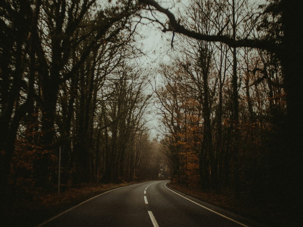 秋日林间公路蜿蜒延伸照片