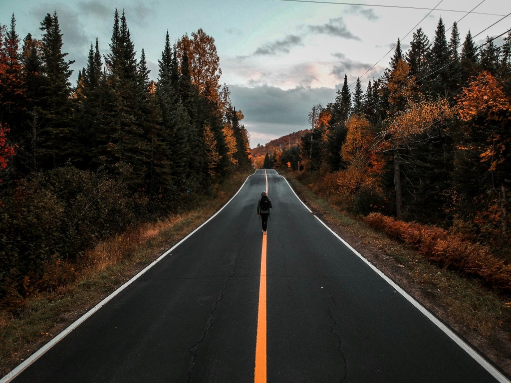 秋日林间公路行人独行照片