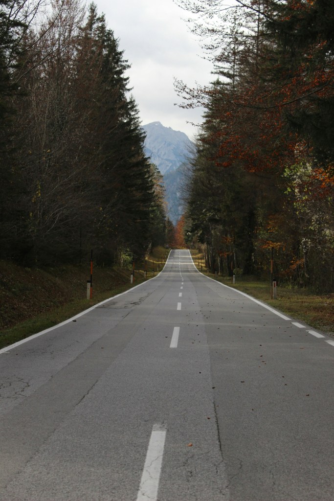 秋日林间公路通向远山照片