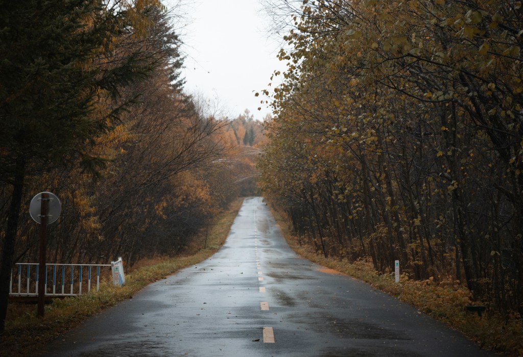 秋日林间湿滑公路照片