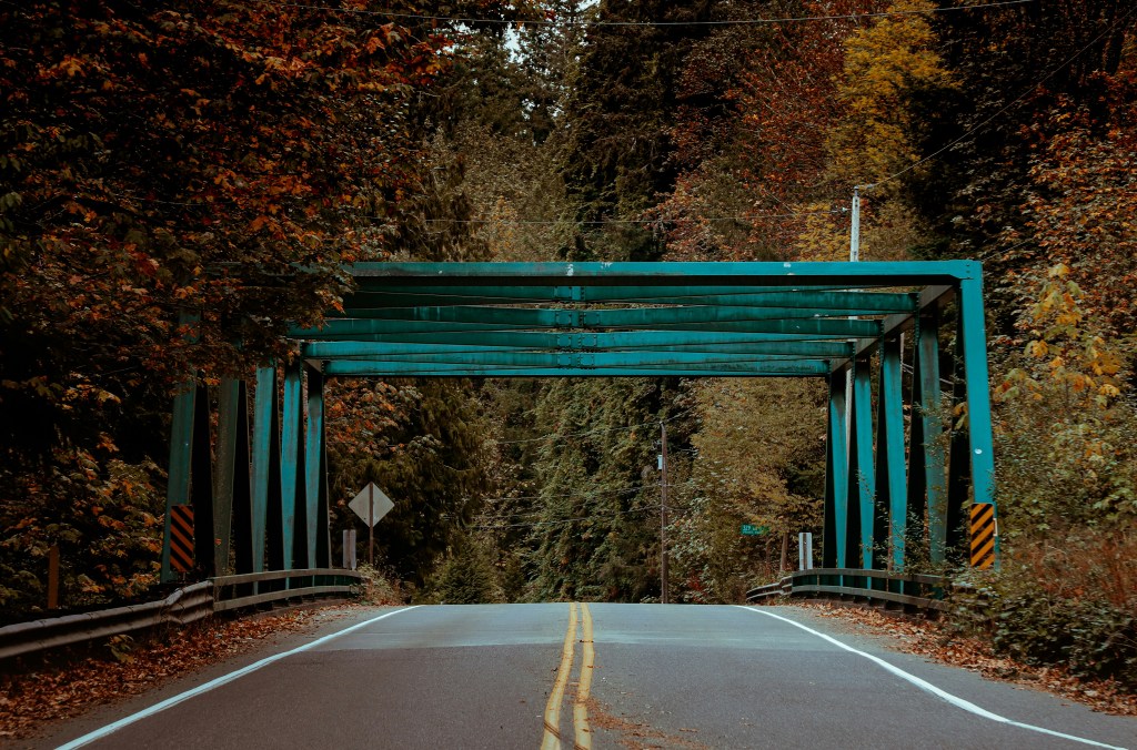 秋日林间绿桥公路风景照片