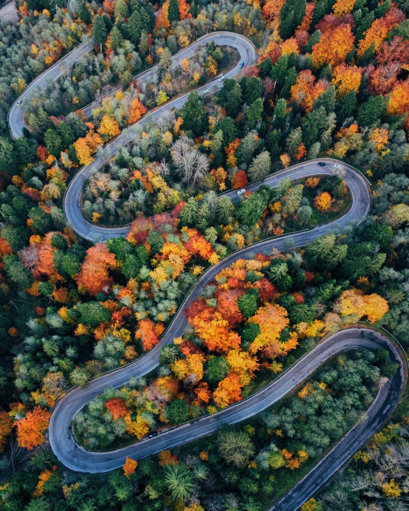 秋日森林蜿蜒公路航拍美景照片