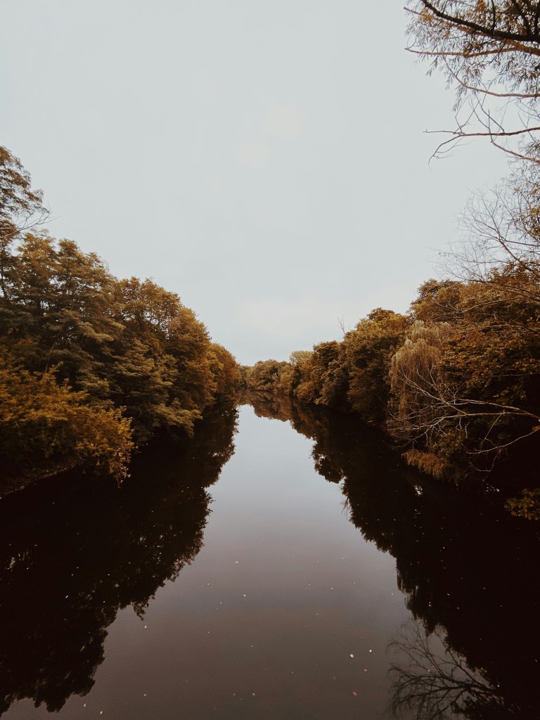 秋日河流两岸树木倒影照片