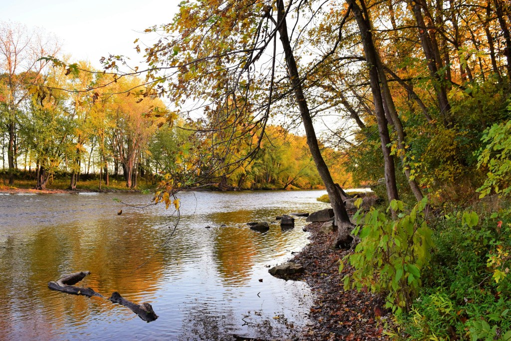 秋日河畔林木倒影静谧风光照片