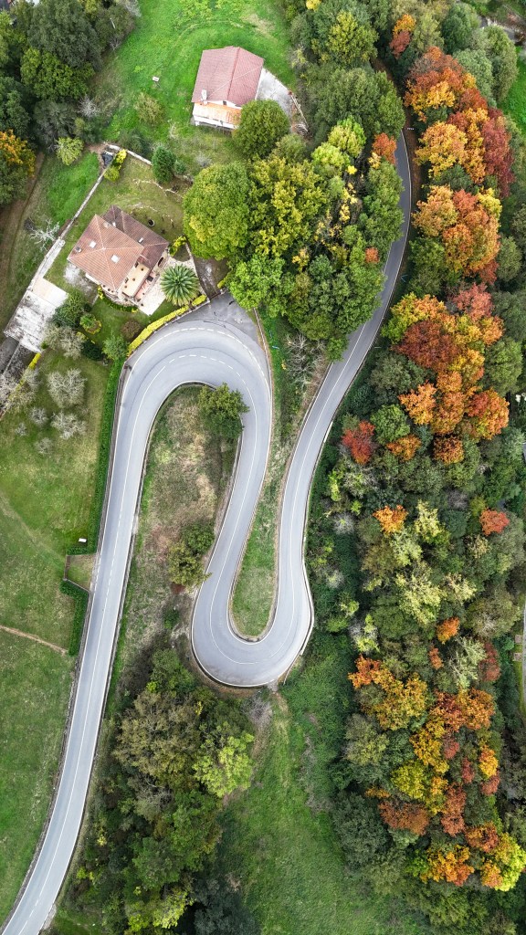蜿蜒山路环绕住宅与秋林照片