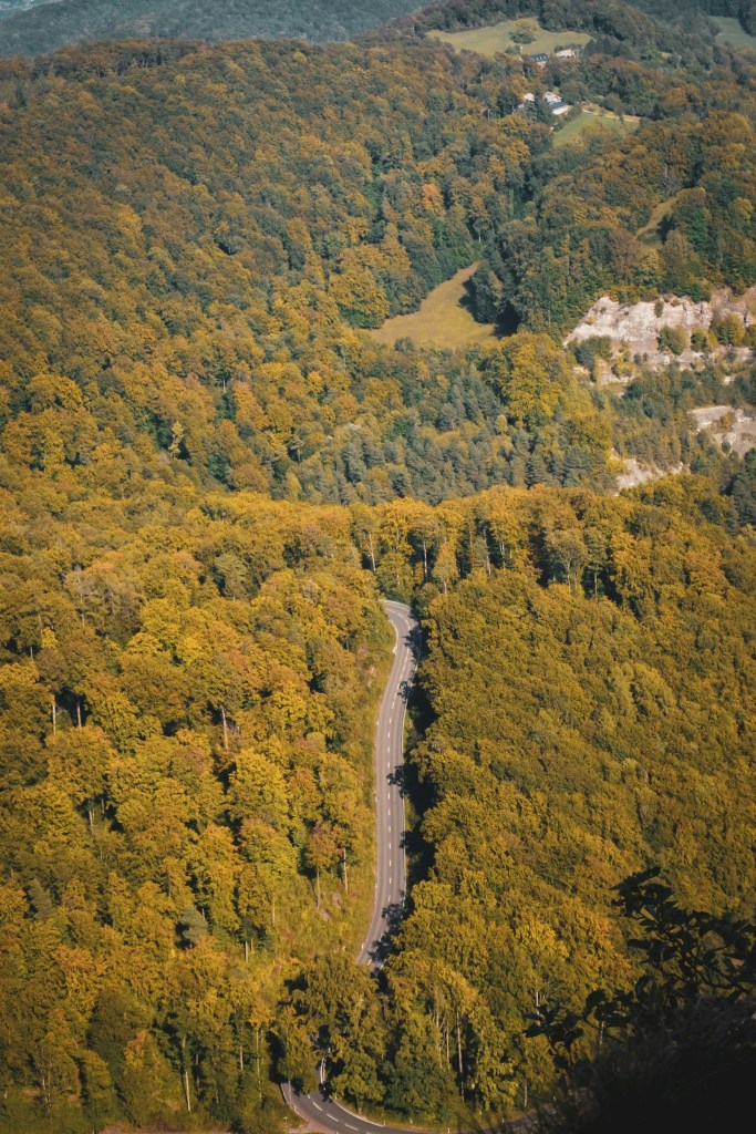 高空俯瞰秋日森林公路照片