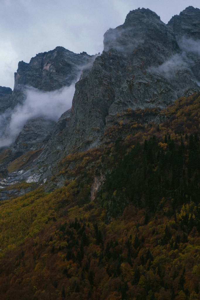云雾缭绕山峰秋林景色照片