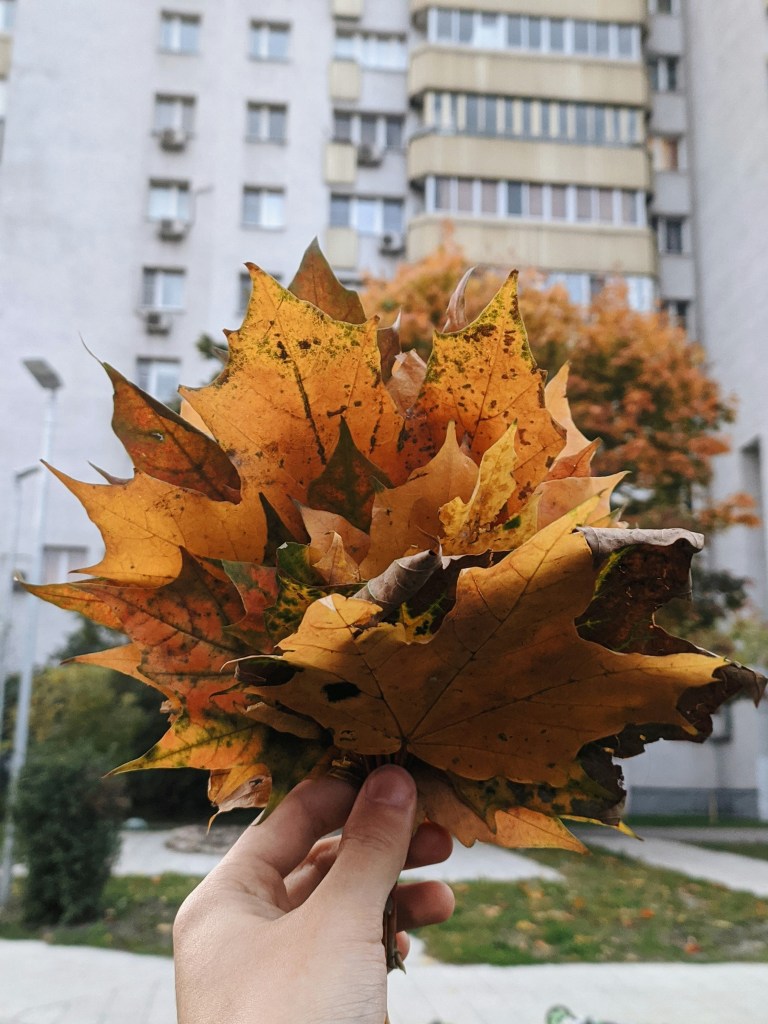 手握秋叶映衬城市建筑