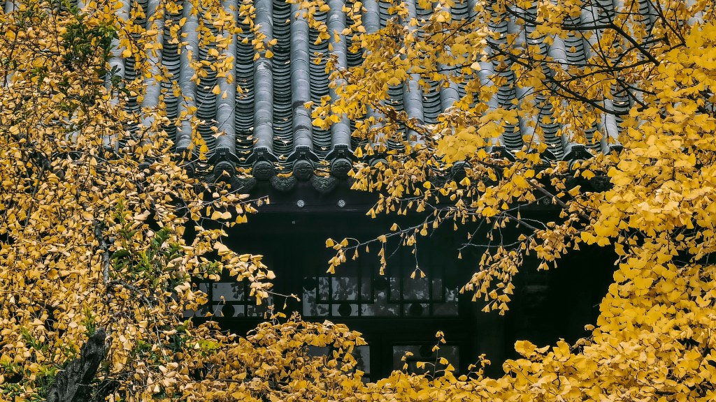 秋日古建筑与金黄银杏叶
