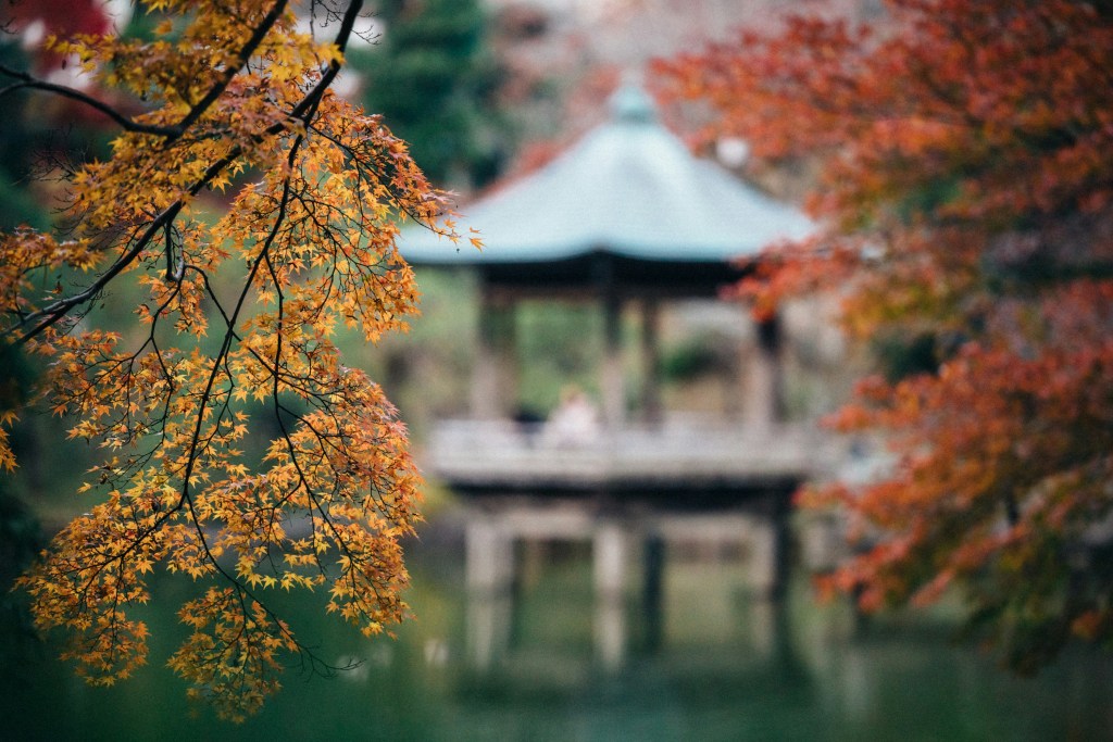 秋日湖畔亭台枫叶美景