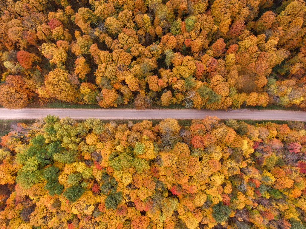 秋日航拍森林公路景色