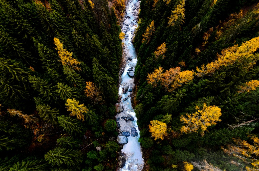 俯瞰秋林溪流美景