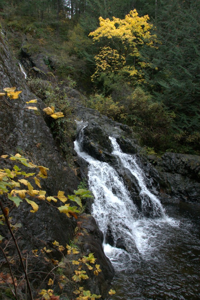 秋日山林瀑布流水潺潺