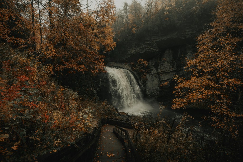 秋日森林瀑布美景