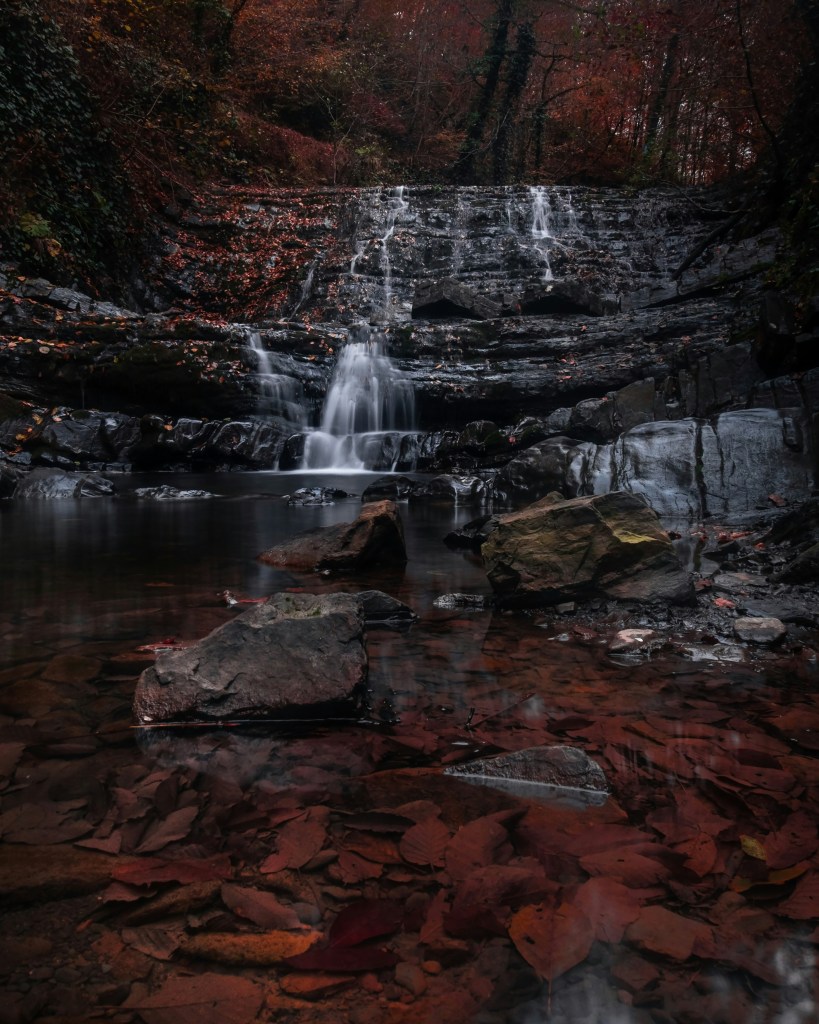 秋日森林瀑布静谧美景