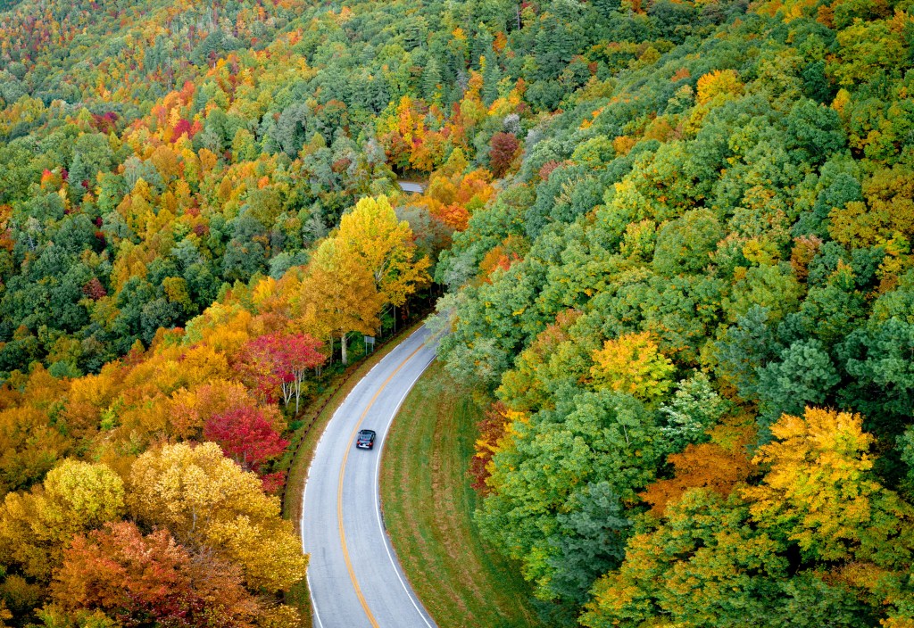 秋日山林公路景色