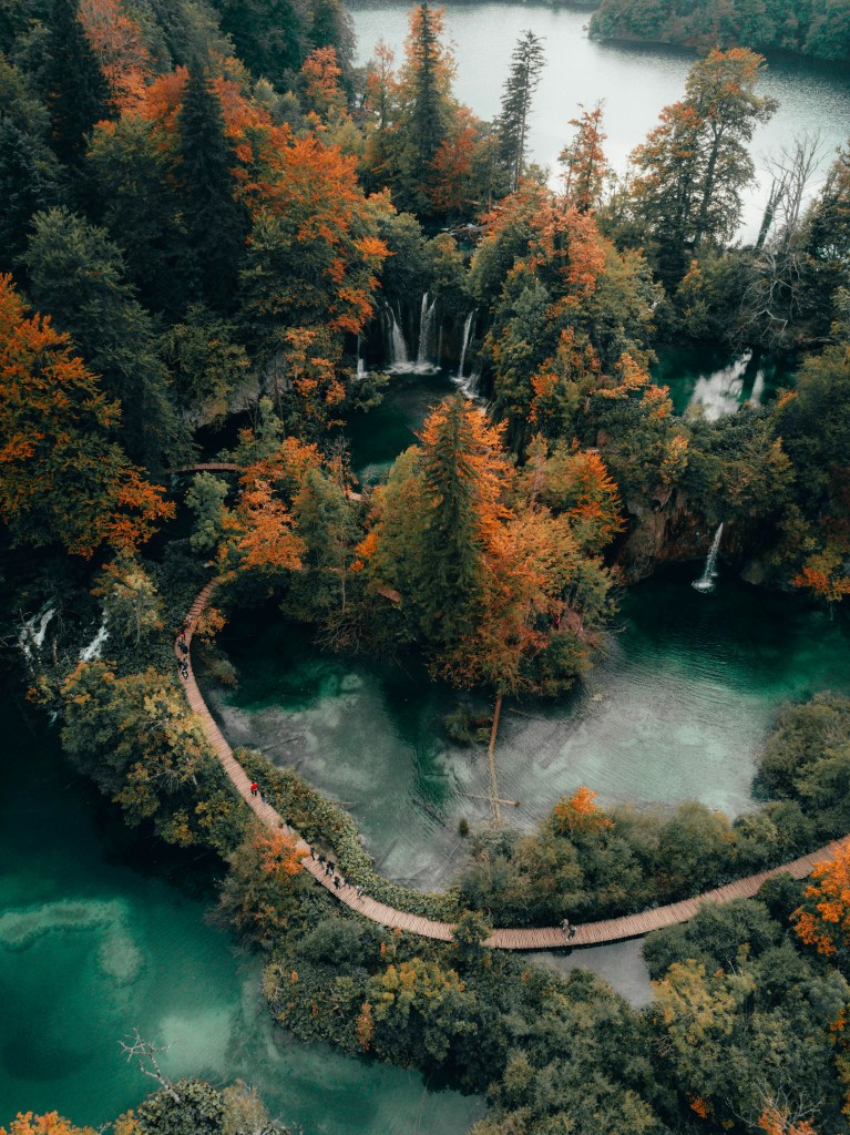 秋日森林湖泊航拍美景