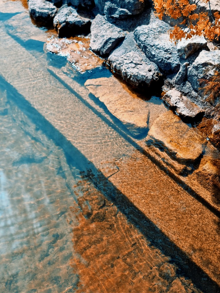 清澈溪流旁的岩石与秋叶照片