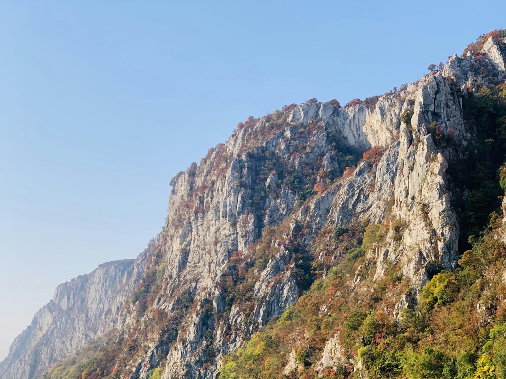 秋日山崖层林尽染景色壮丽照片
