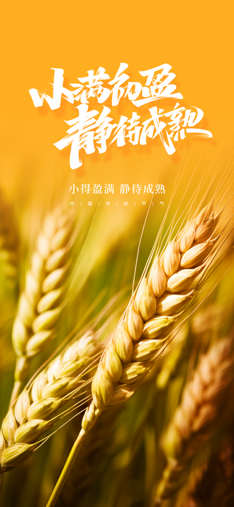 小满节气插画活动海报