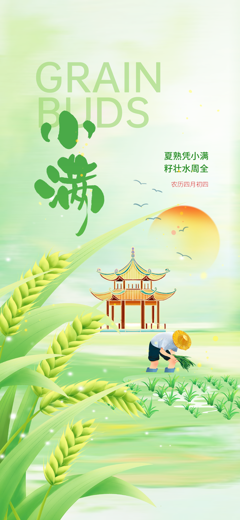 小满节气简约活动海报