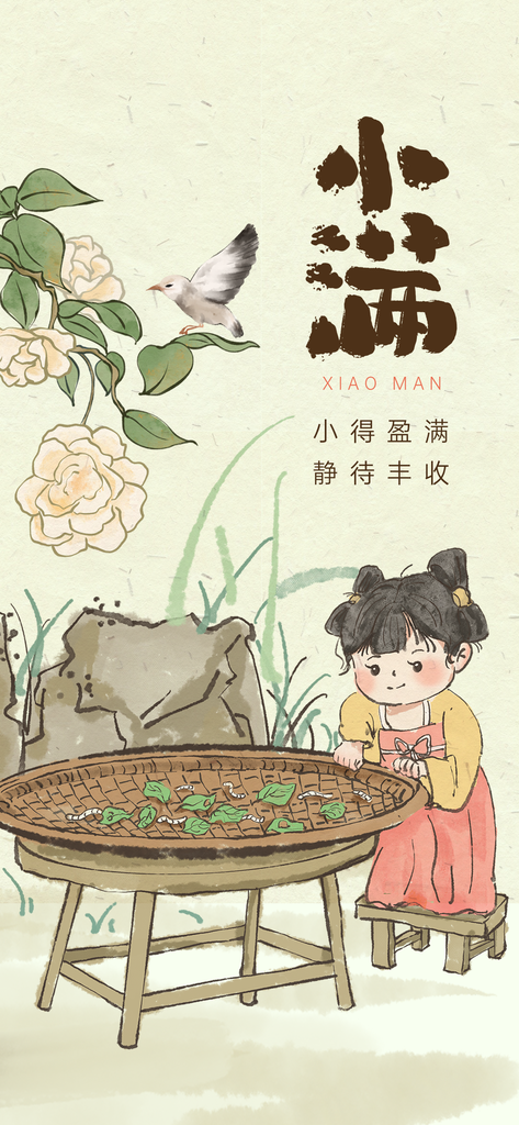 小满节气简约活动海报