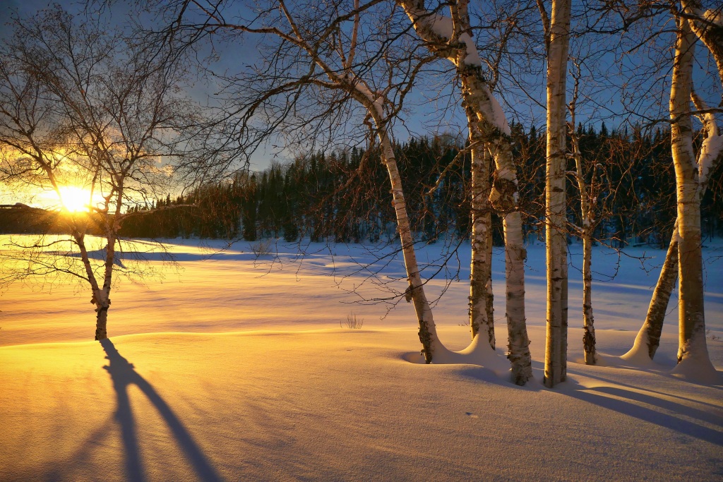 唯美冬季雪景图