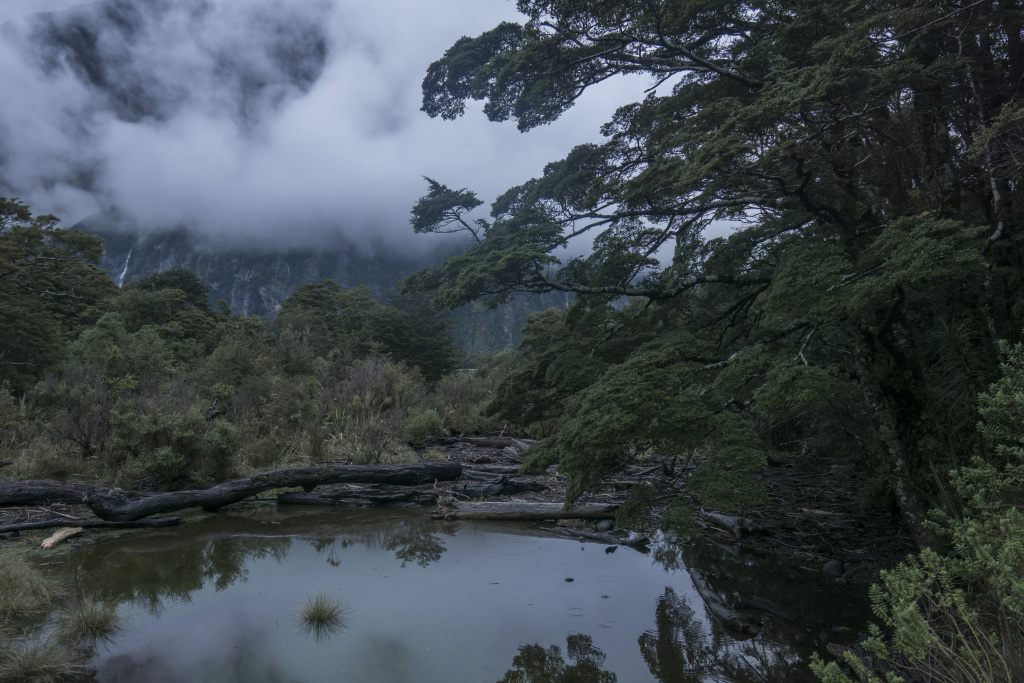 迷雾山水风景画摄影图片
