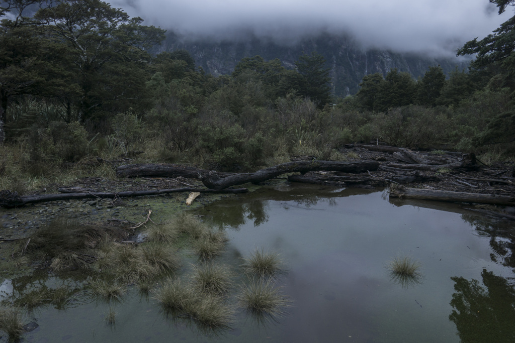 迷雾山水风景画