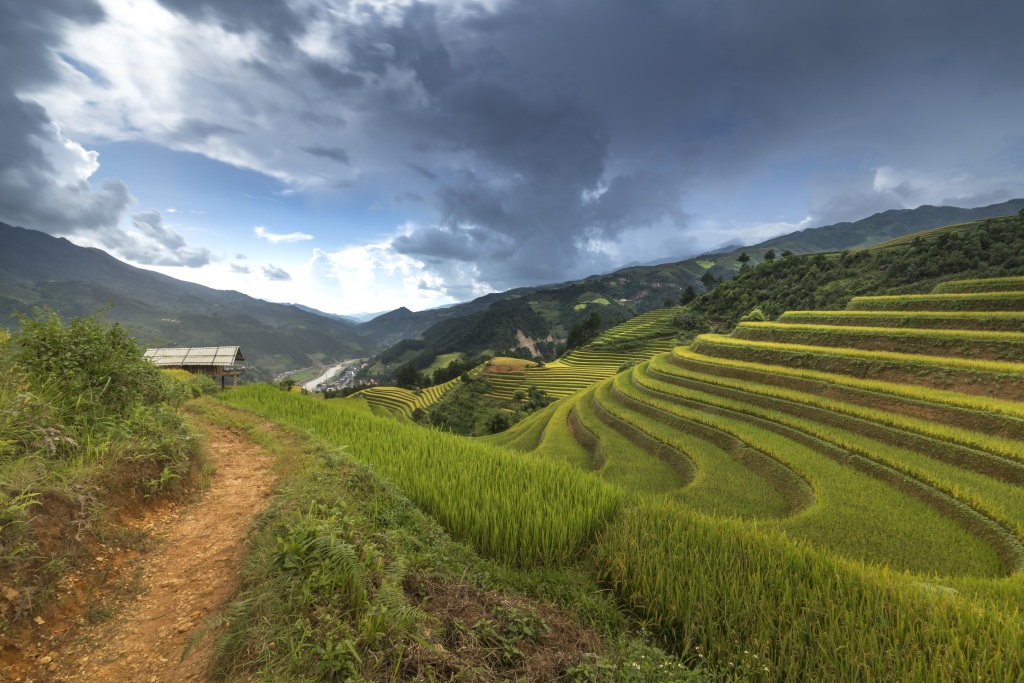 梯田稻田乡村风景画摄影图片