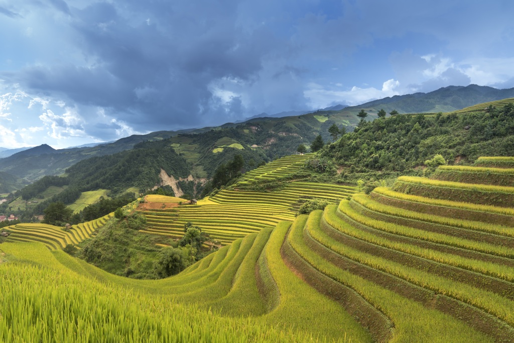梯田稻田乡村风景画摄影图片