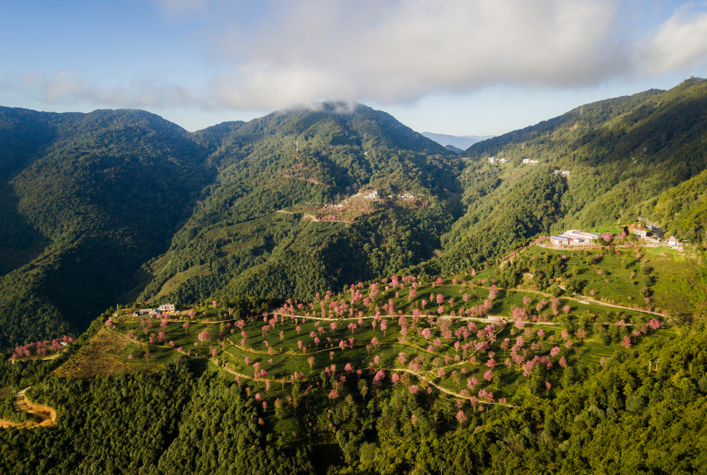 大理风景画图片