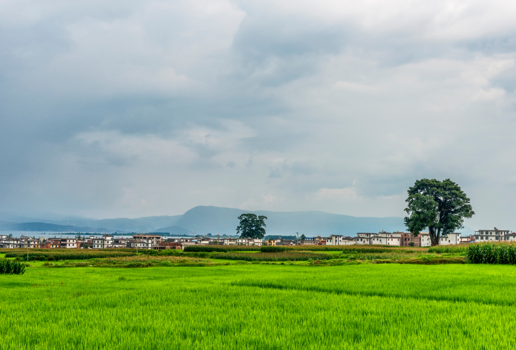 大理旅游风景画