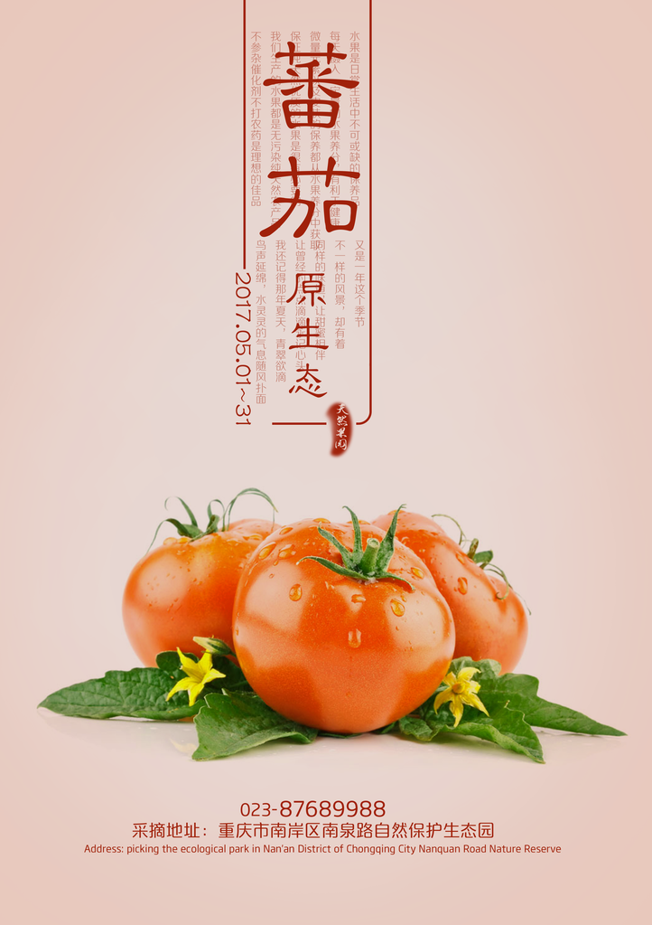 西红柿海报模板