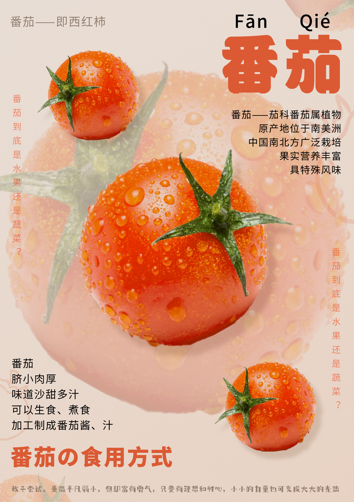 西红柿海报设计模板