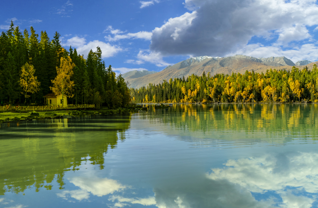 喀纳斯景区白天喀纳斯湖秋季全景